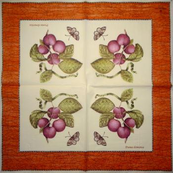041 Cherries,  Plums - 3-ply - Wedgwood
